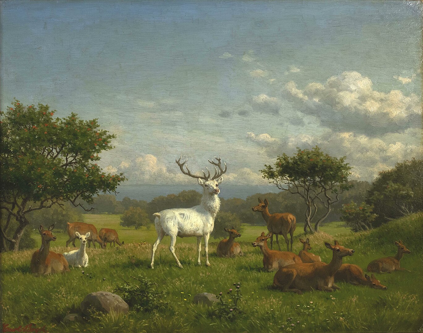 A white stag stands in a vast field and is surrounded by a pack of deer.