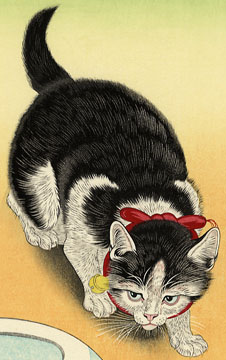 An image depicting a cat walking close to the ground with its head down.