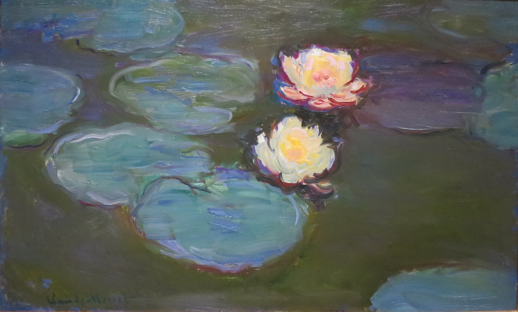Two water lilies in a pond