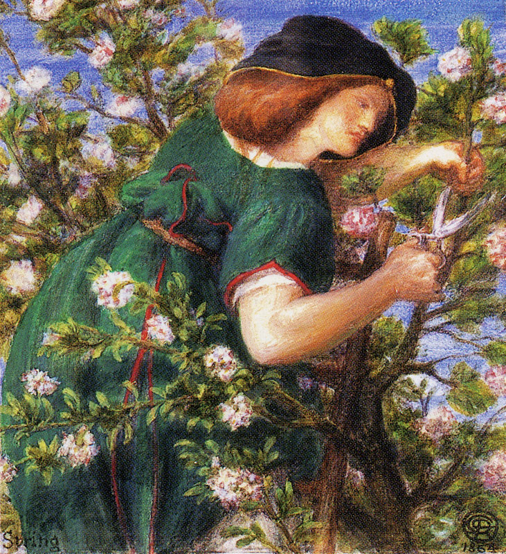 A gardener trimming a flowering shrub