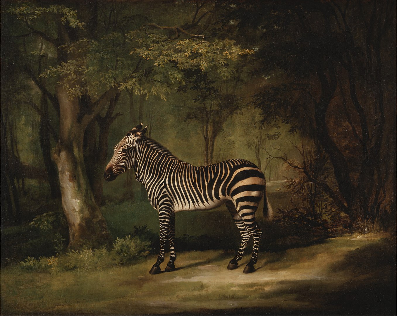 A side profile portrait of a zebra standing in the middle of a forest.