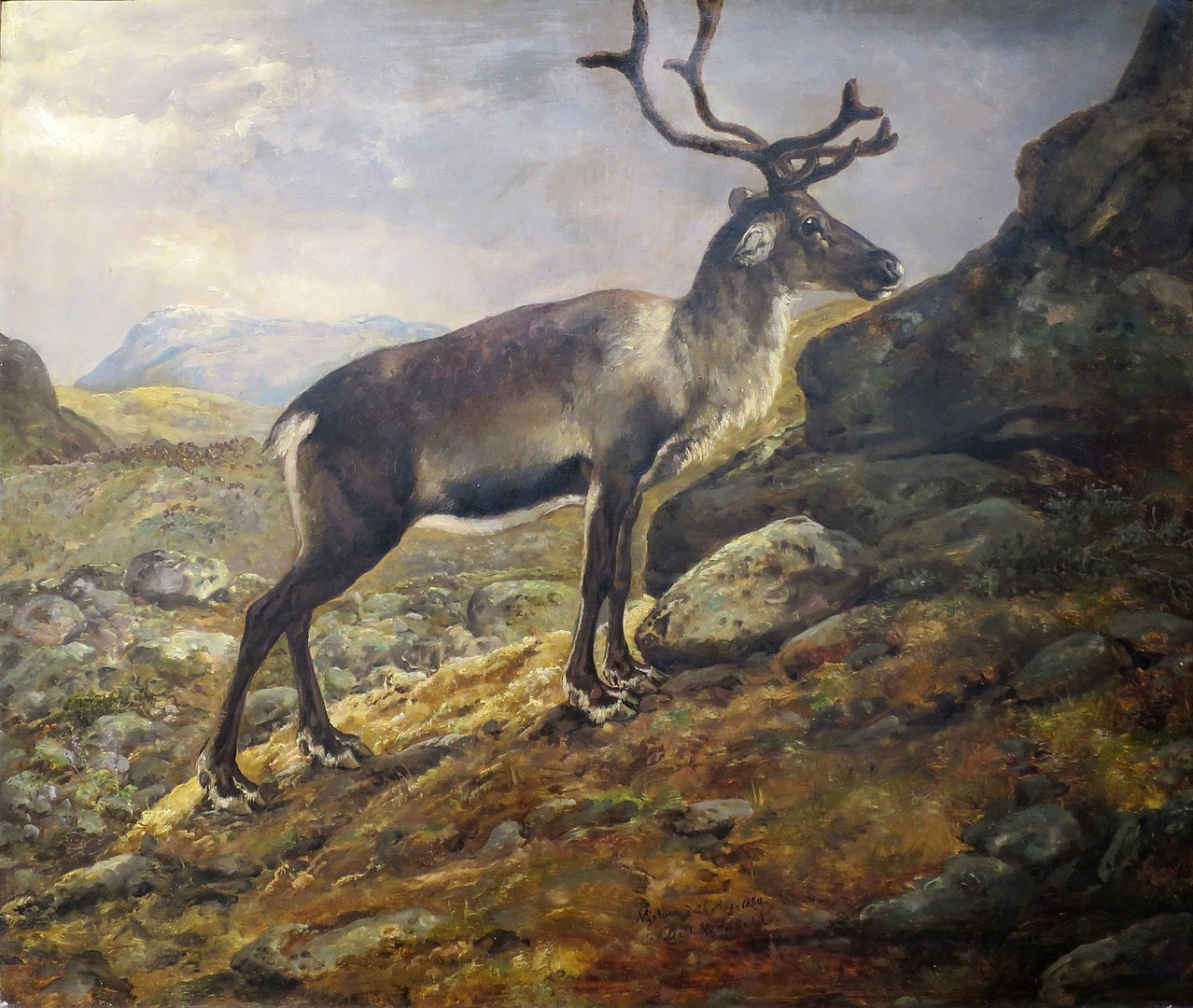 An image of a reindeer standing on a cliffside of a hill.