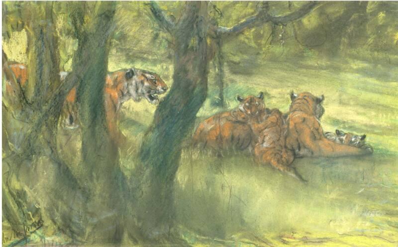 A group of tigers of different ages rest under the sun in a grassy forest.