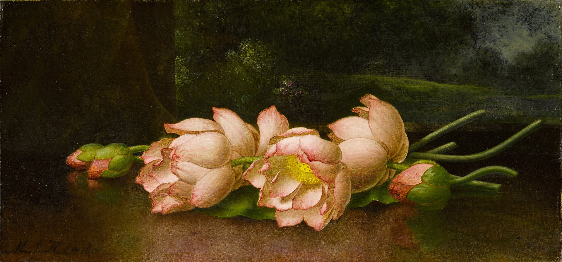 Lotus flowers with a landscape in the background