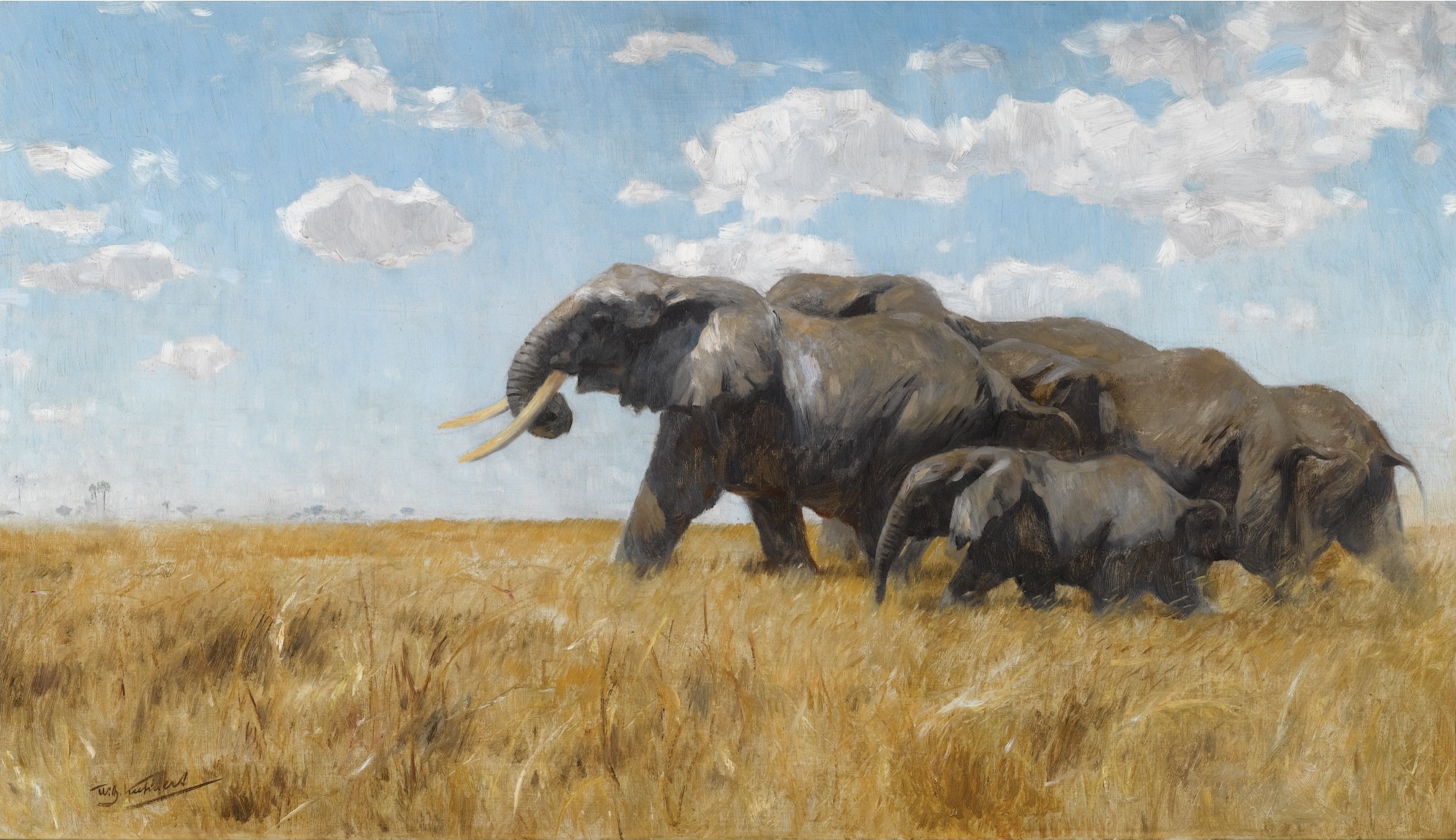 A group of three elephants walk through a vast landscape.