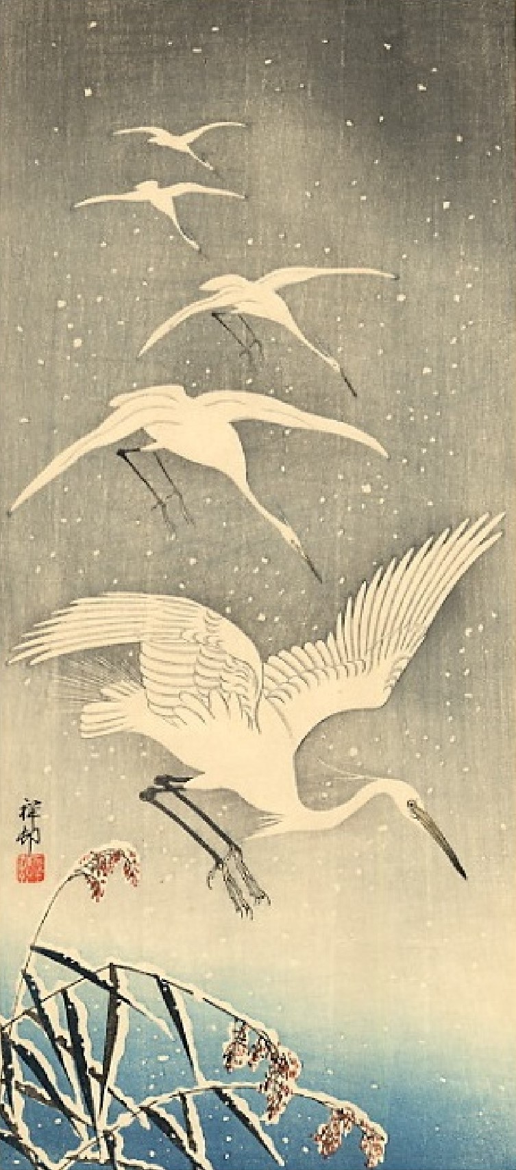 Five egrets descending in snow