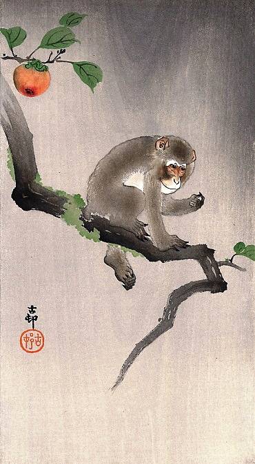 An illustration depicts a monkey sitting on a hanging tree branch.