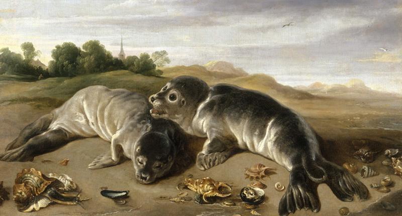 Two seals rest together along the side of a sandy sea shore.