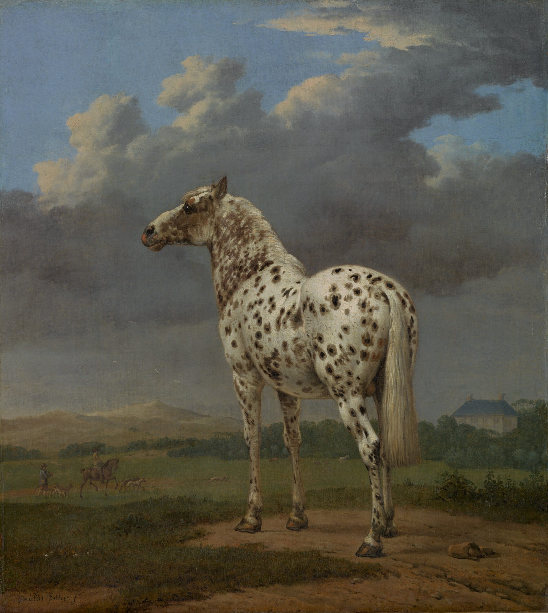 A still image of the back of a horse looking out to a vast field under a clouded sky.