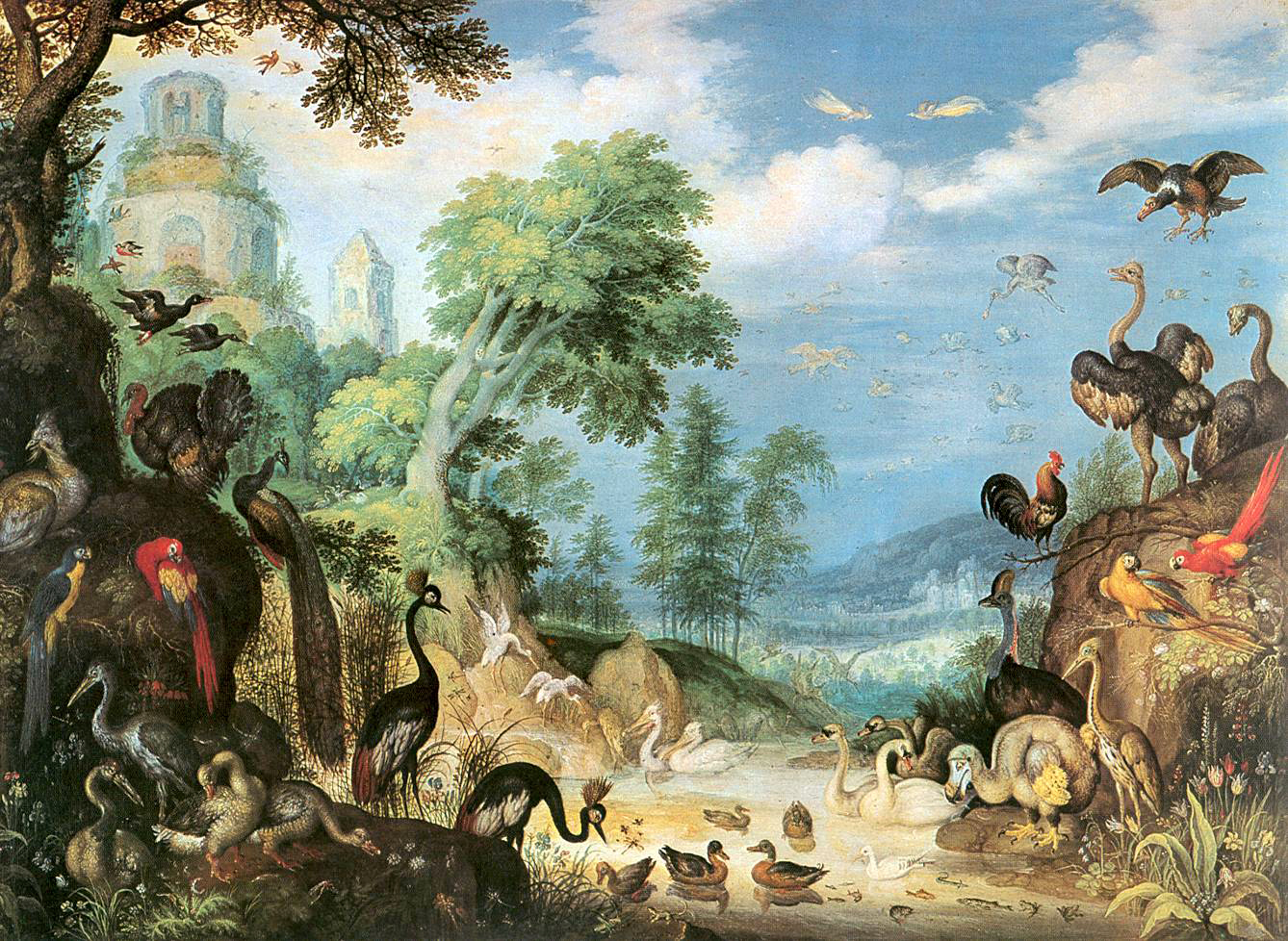 A tropical landscape with many species of birds