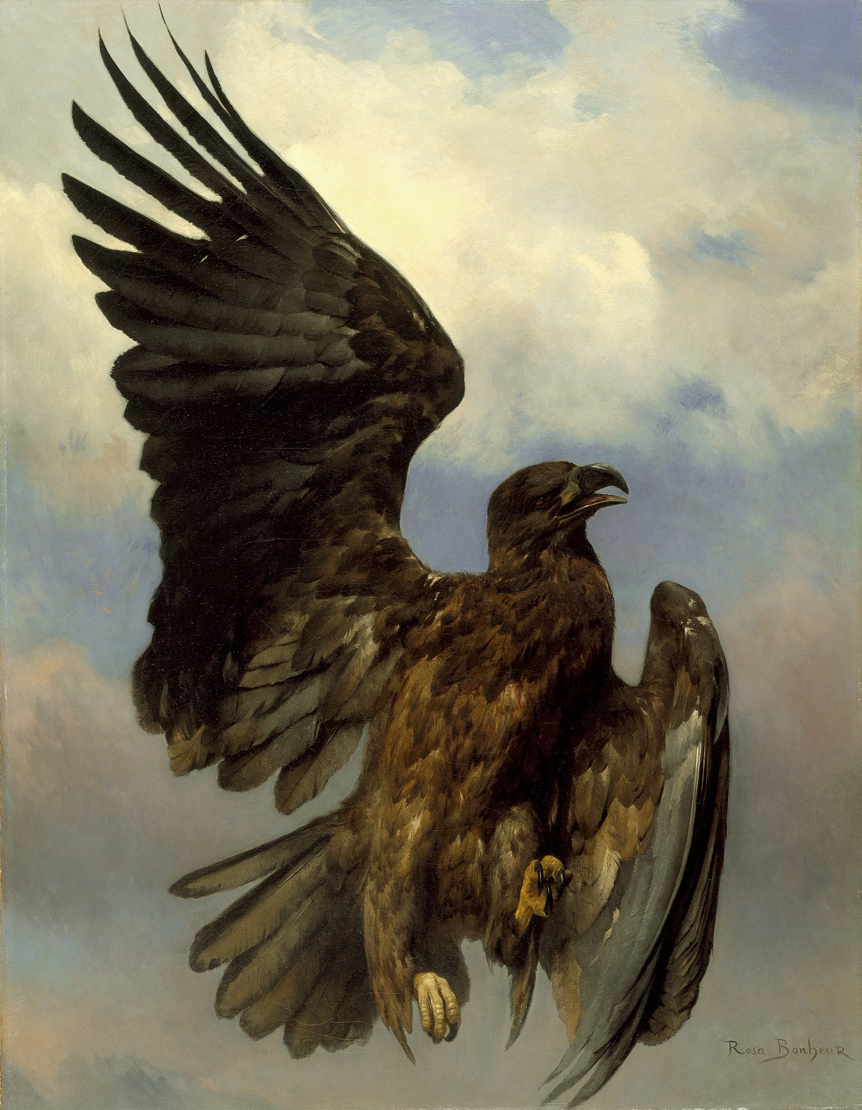 An wounded eagle in the sky