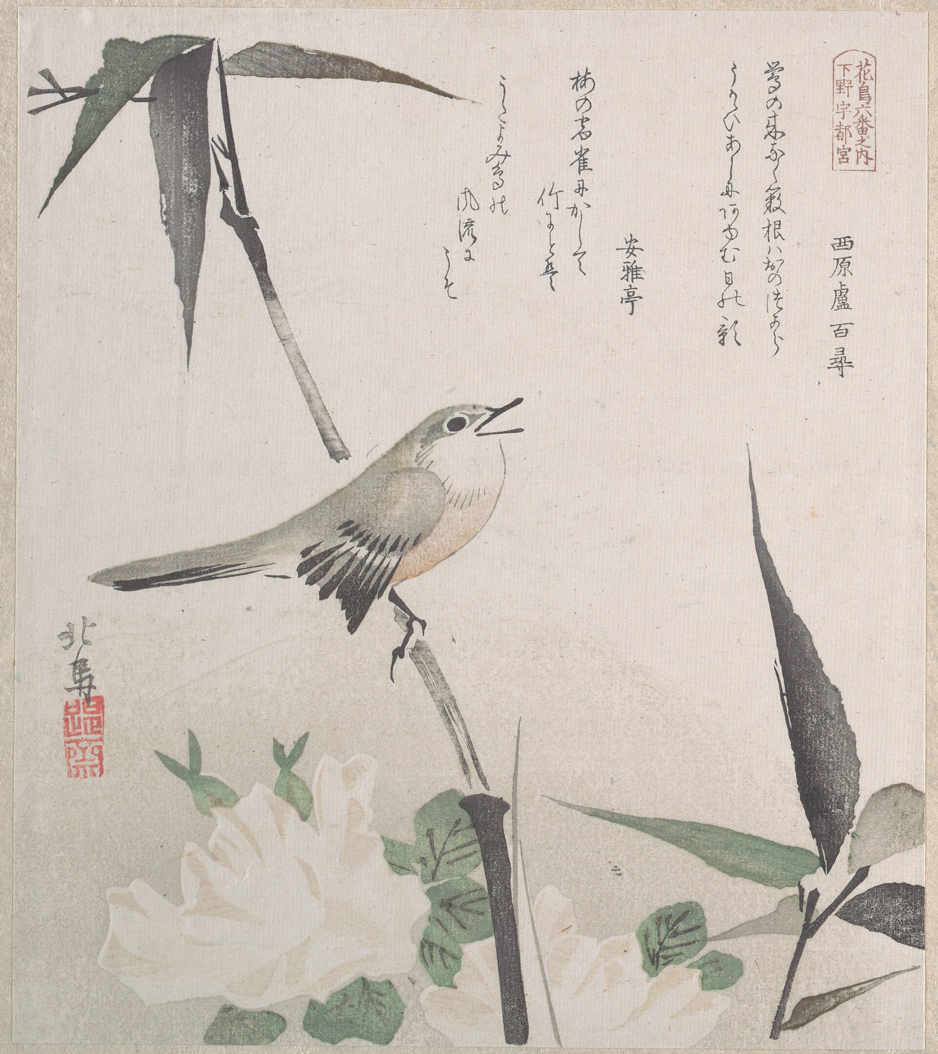 A small bird perched on bamboo