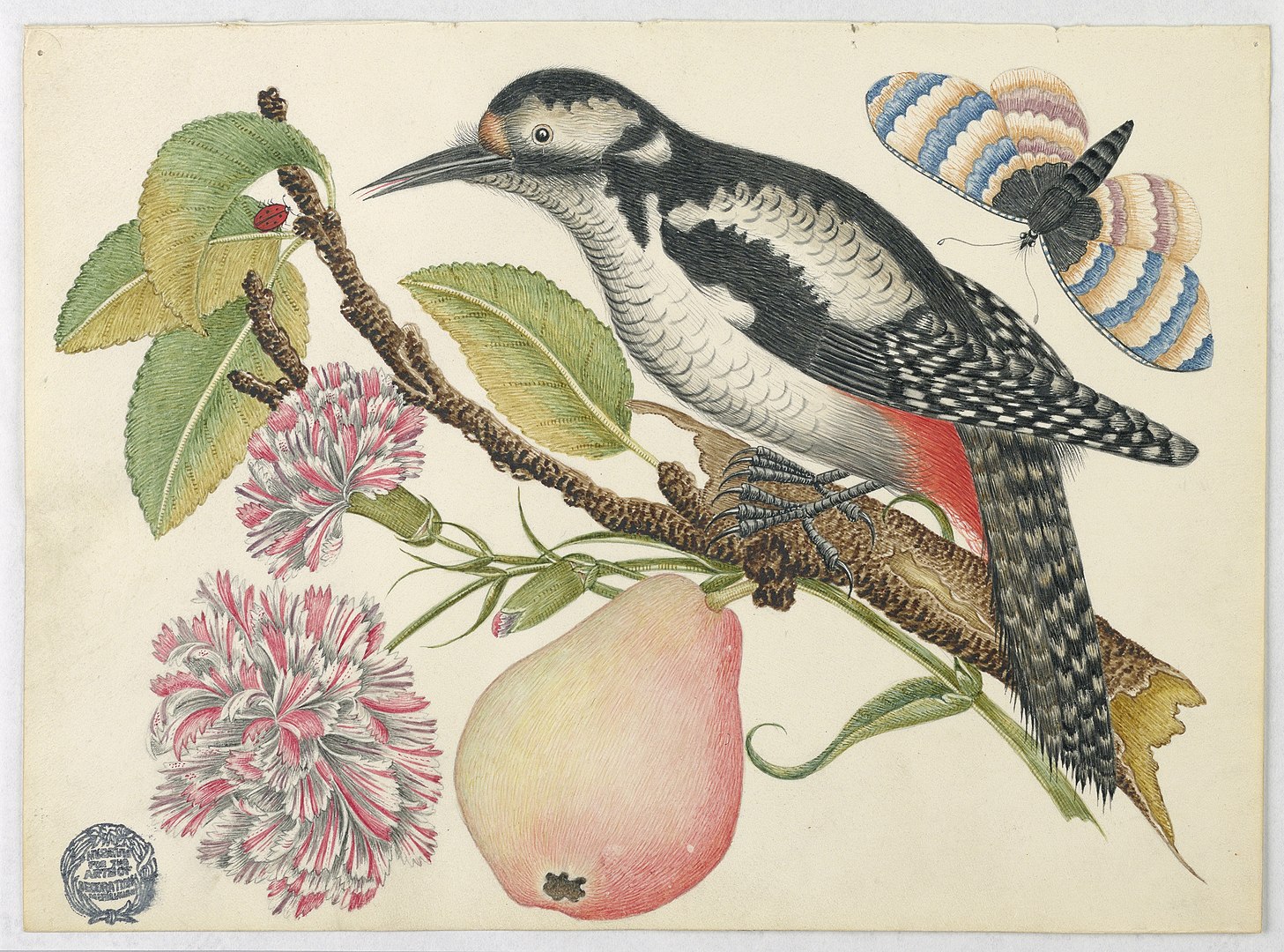 A bird perched on a branch which bears flowers, leaves, and a pear with a butterfly in the upper-right corner