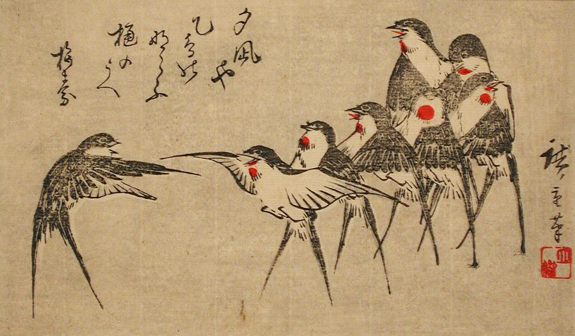 An illustration of birds