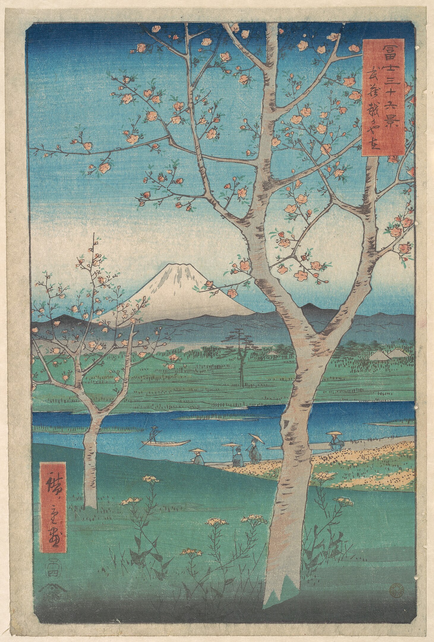 Cherry blossom trees in a grassland with a snowy mountain in the distance