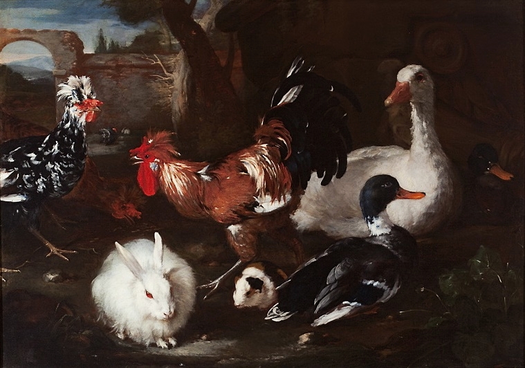 A variety of animals including ducks, rabbits, chickens and guinea pigs rest closely together on the ground.