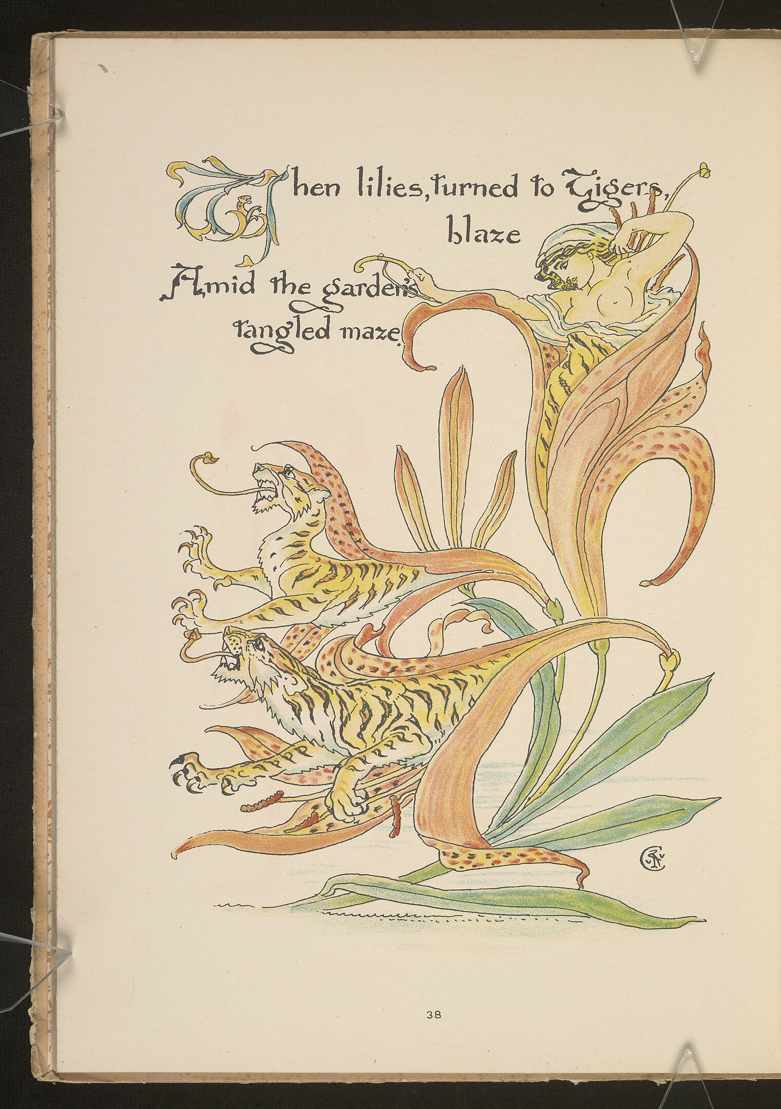 An illustration of two tigers and a woman emerging out of lilies
