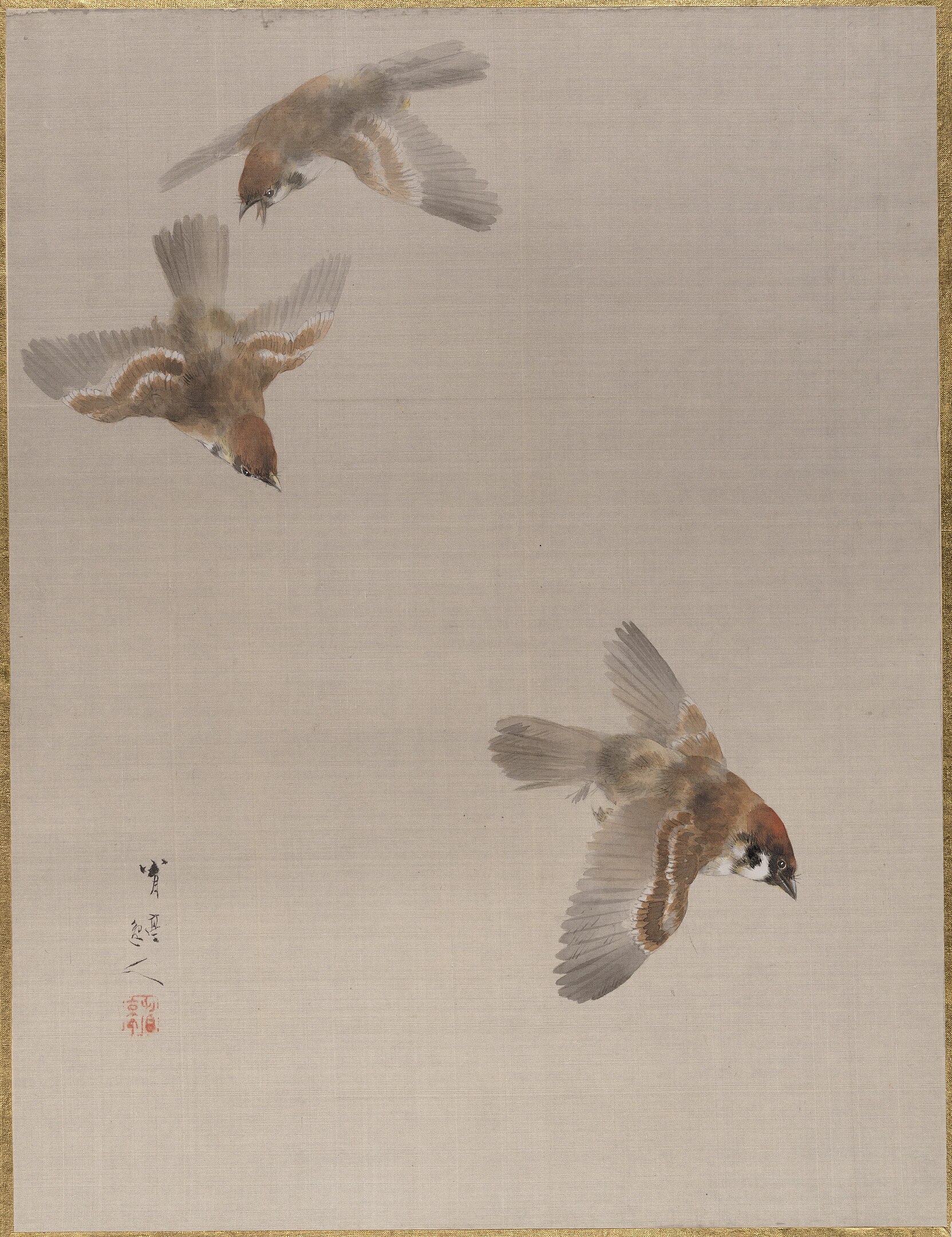 Three sparrows flying
