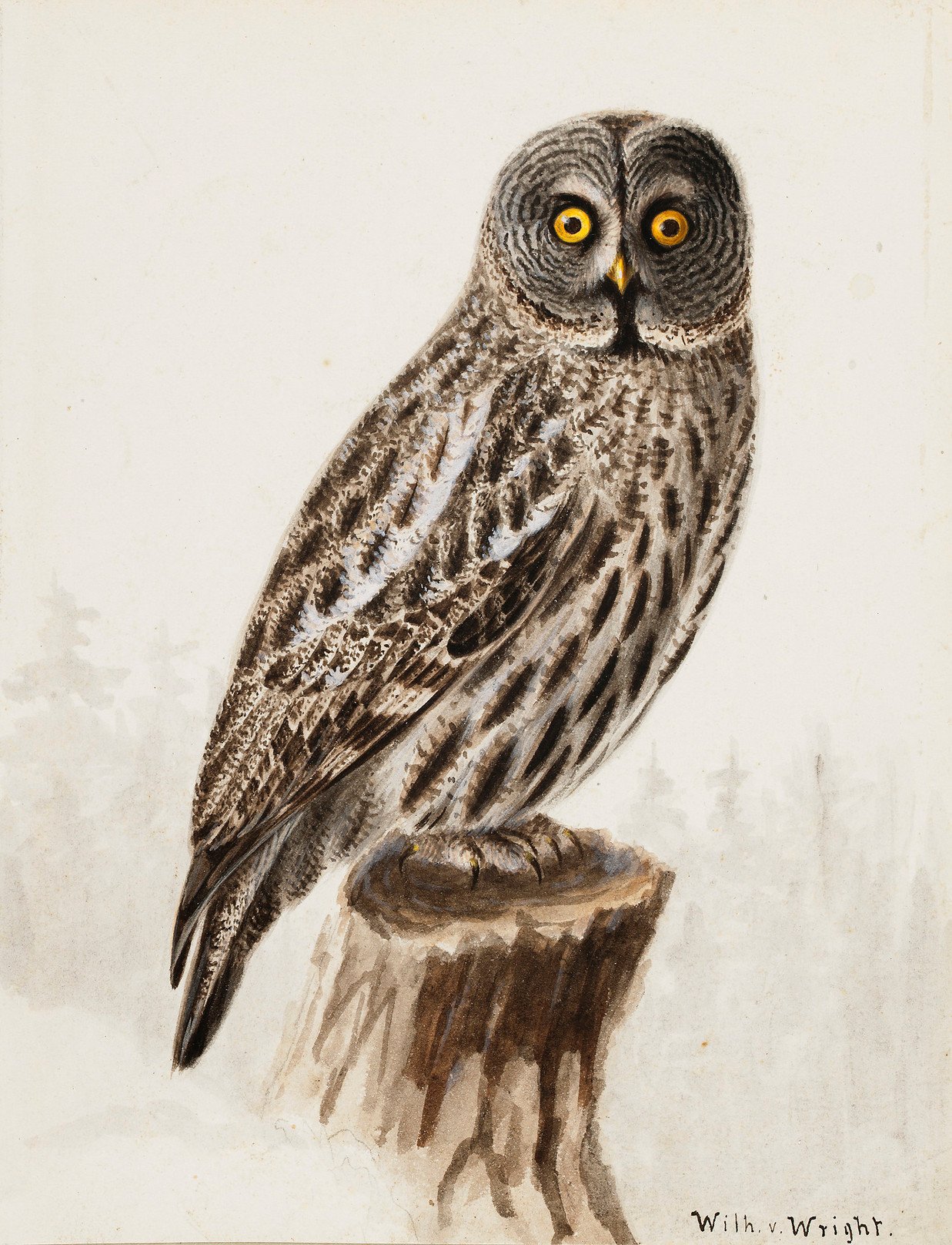An owl on a wooden stump