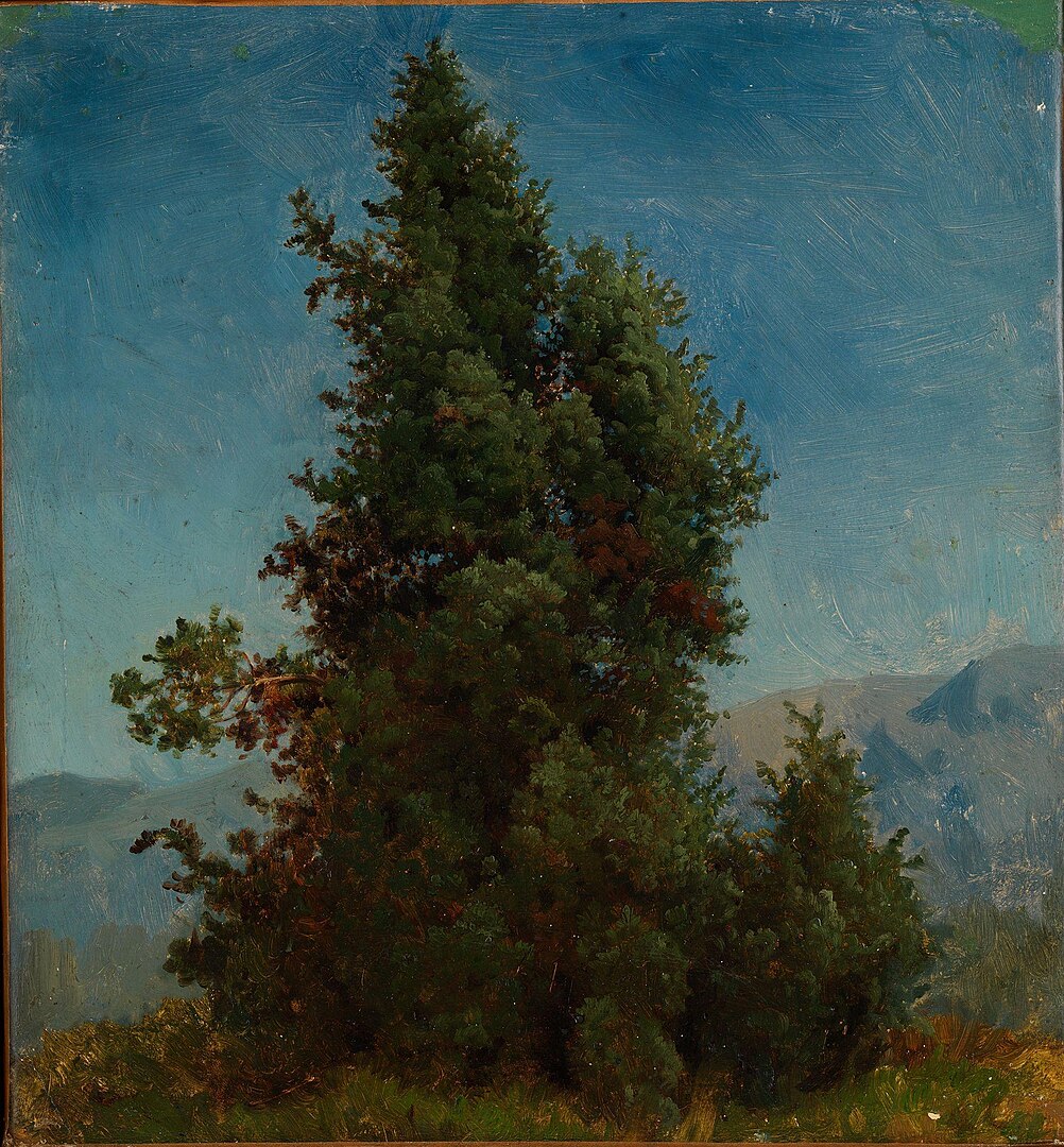 A tree with mountains in the distance