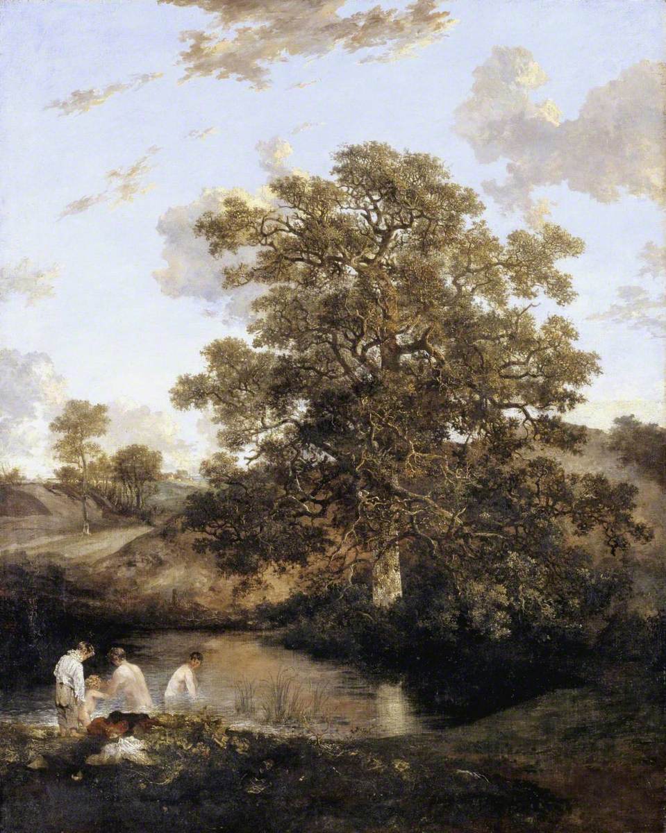 An oak tree beside a pond in a meadow