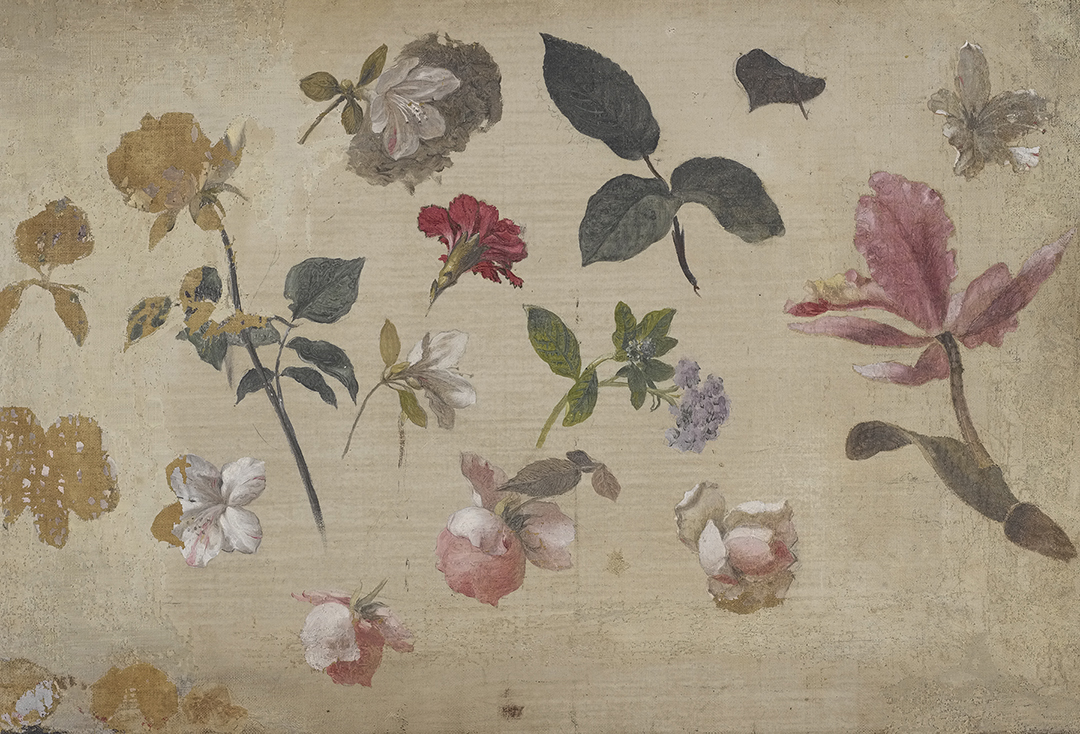 Various flowers and leaves scattered on a plain flat background