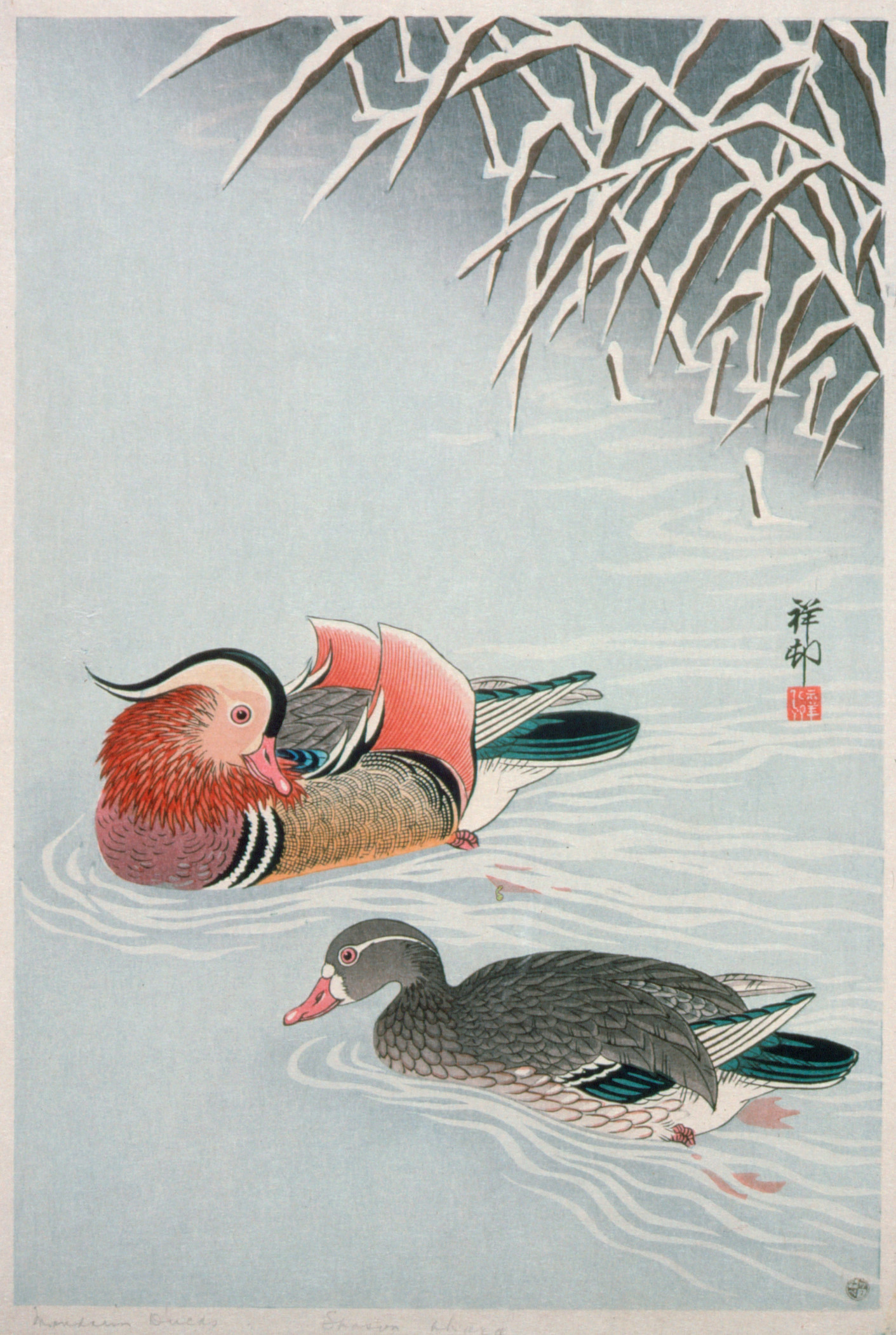 Two ducks in a pond with snowy branches above