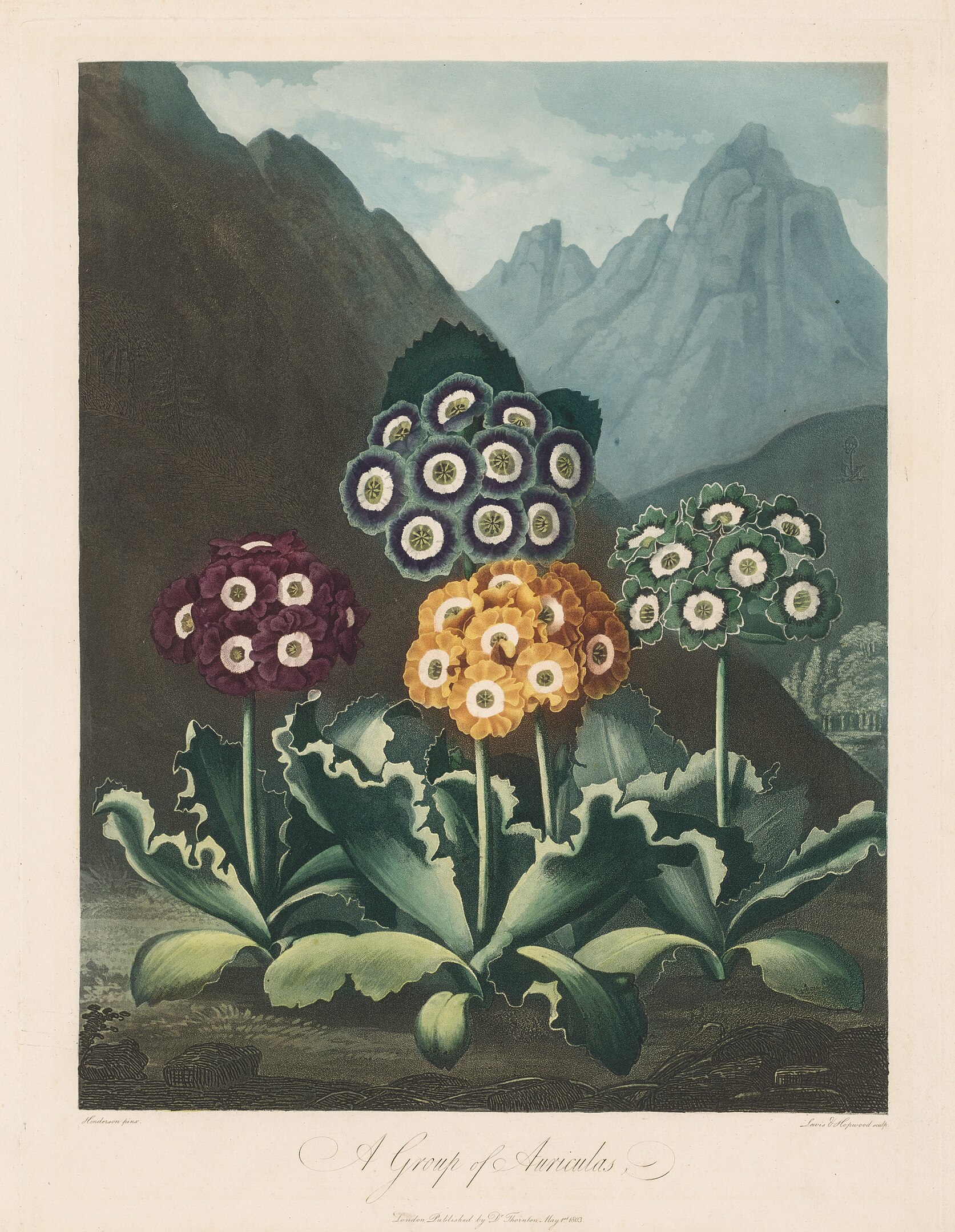 An illustration of exotic flowers in a mountainous landscape
