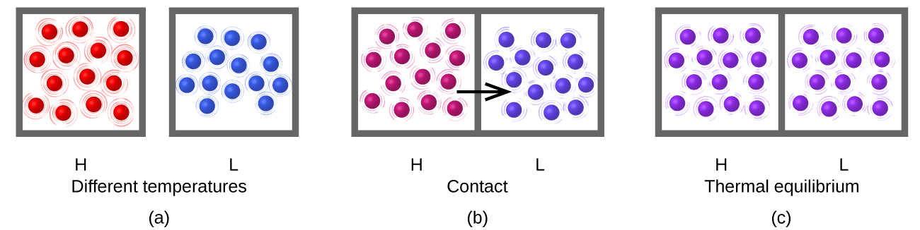 Three drawings are shown and labeled a, b, and c, respectively. The first drawing labeled a depicts two boxes, with a space in between and the pair is captioned “Different temperatures.” The left hand box is labeled H and holds fourteen well-spaced red spheres with lines drawn around them to indicate rapid motion. The right hand box is labeled L and depicts fourteen blue spheres that are closer together than the red spheres and have smaller lines around them showing less particle motion. The second drawing labeled b depicts two boxes that are touching one another. The left box is labeled H and contains fourteen maroon spheres that are spaced evenly apart. There are tiny lines around each sphere depicting particle movement. The right box is labeled L and holds fourteen purple spheres that are slightly closer together than the maroon spheres. There are also tiny lines around each sphere depicting particle movement. A black arrow points from the left box to the right box and the pair of diagrams is captioned “Contact.” The third drawing labeled c, is labeled “Thermal equilibrium.” There are two boxes shown in contact with one another. Both boxes contain fourteen purple spheres with small lines around them depicting moderate movement. The left box is labeled H and the right box is labeled L.