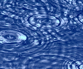 A photograph is shown of ripples in water. The ripples display an interference pattern with each other.