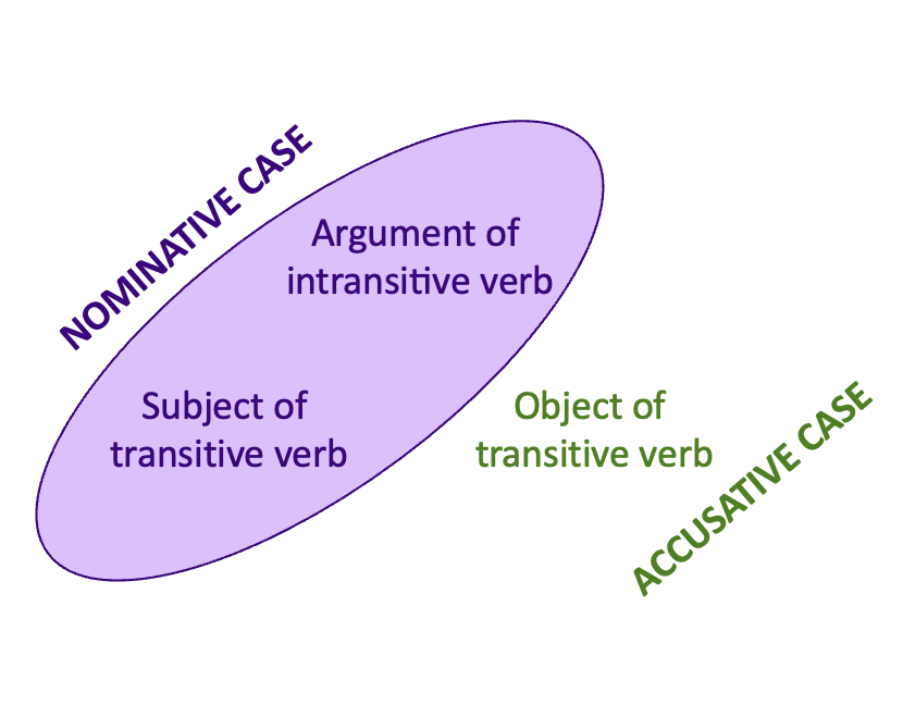 On the left, "argument of intransitive verb" and "subject of transitive verb" are encolsed in a purple circle labeled with "nominative case." On the right, "object of transitive verb" is labeled with "accusative case"