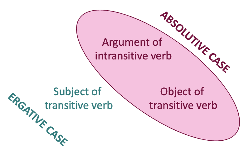 On the left, "subject of transitive verb" is labelled with "ergative case." On the right, "argument of intransitive verb" and "object of transitive verb" are enclosed in a pink circle labelled with "absolutive case."