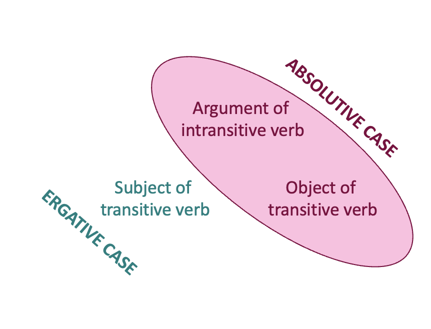 On the left, "argument of intransitive verb" and "subject of transitive verb" are encolsed in a purple circle labeled with "nominative case." On the right, "object of transitive verb" is labeled with "accusative case"