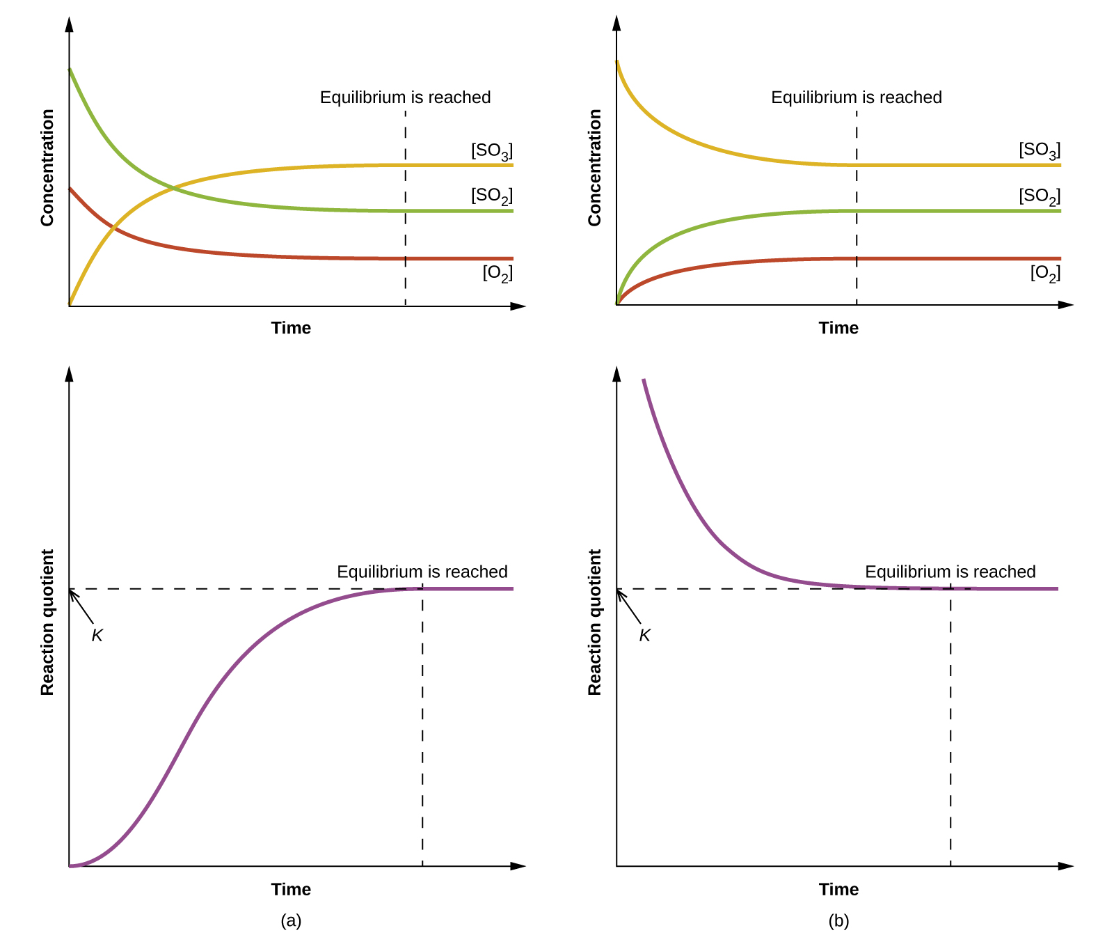 Four graphs are shown and labeled, “a,” “b,” “c,” and “d.” All four graphs have a vertical dotted line running through the middle labeled, “Equilibrium is reached.” The y-axis on graph a is labeled, “Concentration,” and the x-axis is labeled, “Time.” Three curves are plotted on graph a. The first is labeled, “[ S O subscript 2 ];” this line starts high on the y-axis, ends midway down the y-axis, has a steep initial slope and a more gradual slope as it approaches the far right on the x-axis. The second curve on this graph is labeled, “[ O subscript 2 ];” this line mimics the first except that it starts and ends about fifty percent lower on the y-axis. The third curve is the inverse of the first in shape and is labeled, “[ S O subscript 3 ].” The y-axis on graph b is labeled, “Concentration,” and the x-axis is labeled, “Time.” Three curves are plotted on graph b. The first is labeled, “[ S O subscript 2 ];” this line starts low on the y-axis, ends midway up the y-axis, has a steep initial slope and a more gradual slope as it approaches the far right on the x-axis. The second curve on this graph is labeled, “[ O subscript 2 ];” this line mimics the first except that it ends about fifty percent lower on the y-axis. The third curve is the inverse of the first in shape and is labeled, “[ S O subscript 3 ].” The y-axis on graph c is labeled, “Reaction Quotient,” and the x-axis is labeled, “Time.” A single curve is plotted on graph c. This curve begins at the bottom of the y-axis and rises steeply up near the top of the y-axis, then levels off into a horizontal line. The top point of this line is labeled, “k.” The y-axis on graph d is labeled, “Reaction Quotient,” and the x-axis is labeled, “Time.” A single curve is plotted on graph d. This curve begins near the edge of the top of the y-axis and falls steeply toward the x-axis, then levels off into a horizontal line. The bottom point of this line is labeled, “k.”