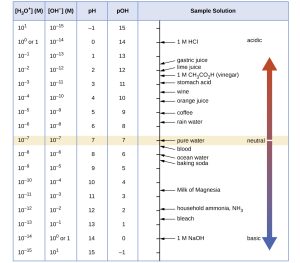 A table is provided with 5 columns. The first column is labeled “left bracket H subscript 3 O superscript plus right bracket (M).” Powers of ten are listed in the column beginning at 10 superscript 1, including 10 superscript 0 or 1, 10 superscript negative 1, decreasing by single powers of 10 to 10 superscript negative 15. The second column is labeled “left bracket O H superscript negative right bracket (M).” Powers of ten are listed in the column beginning at 10 superscript negative 15, increasing by single powers of 10 to including 10 superscript 0 or 1, and 10 superscript 1. The third column is labeled “p H.” Values listed in this column are integers beginning at negative 1, increasing by ones up to 14. The fourth column is labeled “p O H.” Values in this column are integers beginning at 15, decreasing by ones up to negative 1. The fifth column is labeled “Sample Solution.” A vertical line at the left of the column has tick marks corresponding to each p H level in the table. Substances are listed next to this line segment with line segments connecting them to the line to show approximate p H and p O H values. 1 M H C l is listed at a p H of 0. Gastric juices are listed at a p H of about 1.5. Lime juice is listed at a p H of about 2, followed by 1 M C H subscript 3 C O subscript 2 H, followed by stomach acid at a p H value of nearly 3. Wine is listed around 3.5. Coffee is listed just past 5. Pure water is listed at a p H of 7. Pure blood is just beyond 7. Milk of Magnesia is listed just past a p H of 10.5. Household ammonia is listed just before a pH of 12. 1 M N a O H is listed at a p H of 0. To the right of this labeled arrow is an arrow that points up and down through the height of the column. A beige strip passes through the table and to this double headed arrow at p H 7. To the left of the double headed arrow in this beige strip is the label “neutral.” A narrow beige strip runs through the arrow. Just above and below this region, the arrow is purple. It gradually turns to a bright red as it extends upward. At the top of the arrow, near the head of the arrow is the label “acidic.” Similarly, the lower region changes color from purple to blue moving to the bottom of the column. The head at this end of the arrow is labeled “basic.”