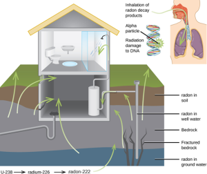 A cut-away image of the side of a house and four layers of the ground it rests on is shown, as well as a second cut-away image of a person’s head and chest cavity. The house is shown with a restroom on the second floor and a basement with a water heater as the first floor. Green arrows lead from the lowest ground layer, labeled “radon in ground water,” from the third ground layer, labeled “Bedrock” and “Fractured bedrock,” from the second layer, labeled “radon in well water,” and from the top layer, labeled “radon in soil to the inside of the basement area. In the smaller image of the torso, a green arrow is shown to enter the person’s nasal passage and travel to the lungs. This is labeled “Inhalation of radon decay products.” A small coiled, helical structure next to the torso is labeled “alpha particle” on one section where it has a starburst pattern and “Radiation damage to D N A” on another segment.