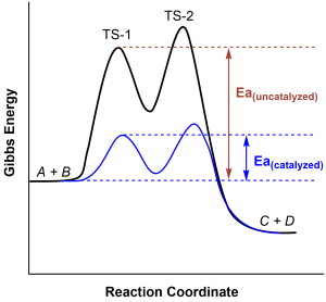 A graph of "Gibbs Energy" versus "Reaction Coordinate" is shown for the reaction A+B --> C+D. Two curves are drawn: one where the reaction is not catalyzed, and one where the reaction is catalyzed. The catalyzed reaction has a lower activation energy barrier.