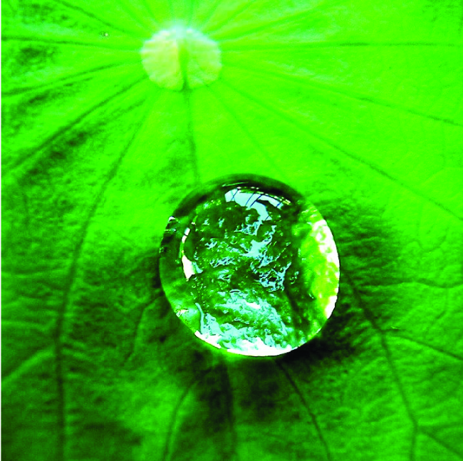 A close-up photo of a water droplet on a leaf is shown. The water droplet is not perfectly spherical.