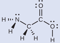 A Lewis structure depicts a nitrogen atom with one lone pair of electrons that is single bonded to two hydrogen atoms and a carbon atom. The atoms described are drawn with bonds that indicate a three-dimensional, tetrahedral shape around the nitrogen atom. The carbon is, in turn, single bonded to two hydrogen atoms and another carbon atom, and again, a tetrahedral, three dimensional configuration is indicated by the types of bonds. This second carbon atom is double bonded to an oxygen atom and single bonded to an oxygen that has two lone pairs of electrons and a single bond to a hydrogen atom.