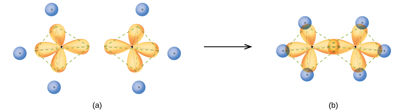 Two diagrams are shown and labeled “a” and “b.” Diagram a shows two carbon atoms, each surrounded by their four s p subscript three hybridized orbitals in a three dimensional arrangement. Each of the orbitals is shown overlapping with a spherical hydrogen atom. Diagram b shows the same general arrangement, but the hydrogen atoms are just represented by an, “H” and their spherical orbitals are not shown.