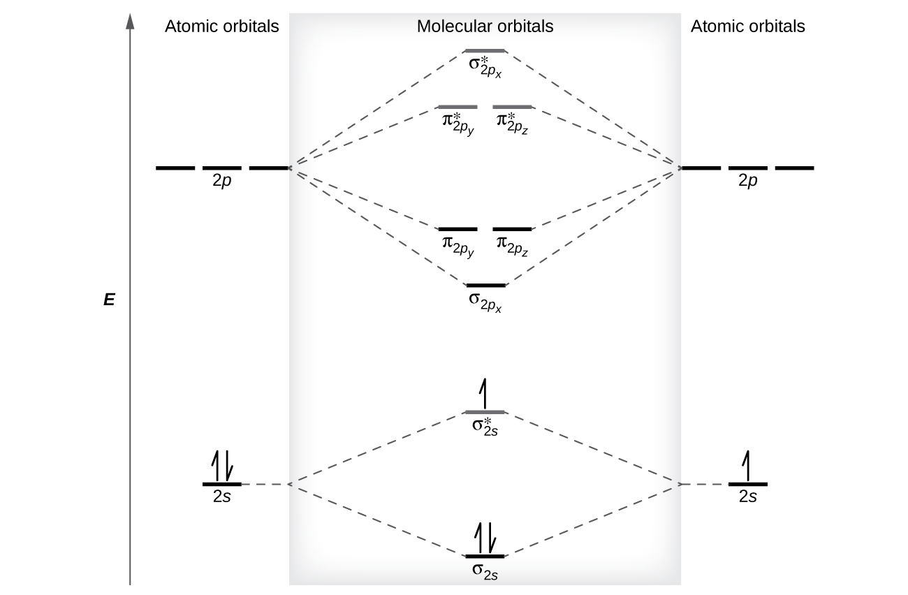 A diagram is shown that has an upward-facing vertical arrow running along the left side labeled, “E.” At the bottom center of the diagram is a horizontal line labeled, “sigma subscript 2 s,” that has two vertical half arrows drawn on it, one facing up and one facing down. This line is connected to the right and left by upward-facing, dotted lines to two more horizontal lines, each labeled, “2 s.” The line on the left has two vertical half arrows drawn on it, one facing up and one facing down while the line of the right has one half arrow facing up drawn on it. These two lines are connected by upward-facing dotted lines to another line in the center of the diagram, but further up from the first. It is labeled, “sigma subscript 2 s superscript asterisk.” This horizontal line has one upward-facing vertical half-arrow drawn on it. Moving farther up the center of the diagram is a long horizontal line labeled, “sigma subscript 2 p subscript x,” which lies below two horizontal lines. These two horizontal lines lie side-by-side, and labeled, “pi subscript 2 p subscript y,” and, “pi subscript 2 p subscript z.” Both the bottom and top lines are connected to the right and left by upward-facing, dotted lines to three more horizontal lines, each labeled, “2 p.” These sets of lines are connected by upward-facing dotted lines to another single line and then pair of double lines in the center of the diagram, but farther up from the lower lines. They are labeled, “sigma subscript 2 p subscript x superscript asterisk,” and, ““pi subscript 2 p subscript y superscript asterisk,” and, “pi subscript 2 p subscript z superscript asterisk,” respectively. The left and right sides of the diagram have headers that read, ”Atomic orbitals,” while the center is header reads “Molecular orbitals”.