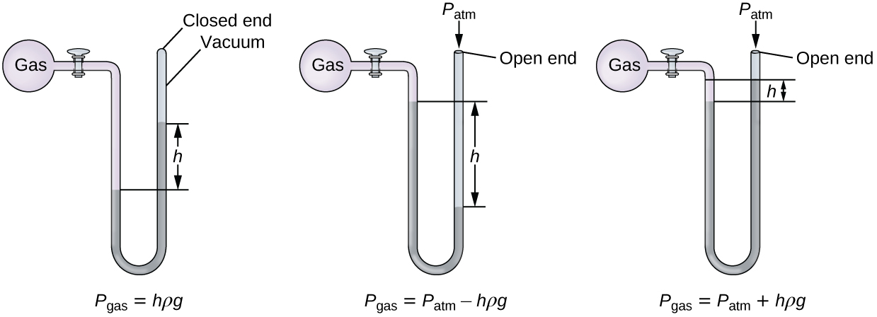 Three diagrams of manometers are shown. Each manometer consists of a spherical pink container filled with gas on the left that is connected to a U-shaped, sealed tube by a valve on its right. The top of the U aligns with the gas-filled sphere and the U, which extends below, contains mercury. The first manometer has a sealed tube. The sealed end to the upper right in the diagram is labeled “closed end” and “vacuum.” The mercury level is higher in the right side of the tube than in the left. The difference in height is labeled “h.” Beneath this manometer illustration appears the label P subscript gas equal sign h rho g. The second manometer has an open-ended tube, which is labeled “open end.” At this opening in the upper right of the diagram is the label P subscript atm. The mercury level is higher in the left side of the tube than in the right. This difference in height is labeled “h.” Beneath this manometer illustration appears the label P subscript gas equal sign P subscript atm minus sign h rho g. The third manometer has an open-ended tube and is similar to the second manometer except that the mercury level is higher in the right side of the tube than in the left. This difference in height is labeled “h.” Beneath this manometer illustration appears the label P subscript gas equal sign P subscript a t m plus h rho g.