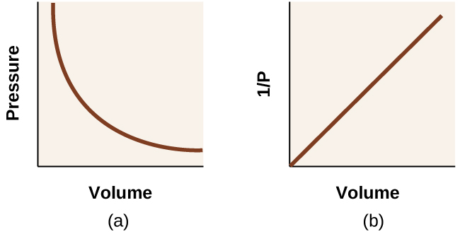 This diagram shows two graphs. In a, a graph is shown with volume on the horizontal axis and pressure on the vertical axis. A curved line is shown on the graph showing a decreasing trend with a decreasing rate of change. In b, a graph is shown with volume on the horizontal axis and one divided by pressure on the vertical axis. A line segment, beginning at the origin of the graph, shows a positive, linear trend.