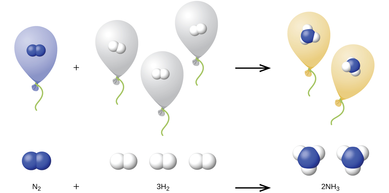 This diagram provided models of the chemical reaction written with formulas across the bottom of the figure. The reaction is written; N subscript 2 plus 3H subscript 2 followed by an arrow pointing right to NH subscript 3. Just above the formulas, space-filling models are provided. Above NH subscript 2, two blue spheres are bonded. Above 3H subscript 2, three pairs of two slightly smaller white spheres are bonded. Above NH subscript 3, two molecules are shown composed each of a central blue sphere to which three slightly smaller white spheres are bonded. Across the top of the diagram, the reaction is illustrated with balloons. To the left is a light blue balloon, which is labeled “N subscript 2”. This balloon contains a single space-filling model composed of two bonded blue spheres. This balloon is followed by a plus sign, then three grey balloons which are each labeled “H subscript 2.” Each of these balloons similarly contain a single space-filling model composed of two bonded white spheres. These white spheres are slightly smaller than the blue spheres. An arrow follows that points right to two light-green balloons, which are each labeled “2 NH subscript 3.” Each light-green balloon contains a space-filling model composed of a single central blue sphere to which three slightly smaller white spheres are bonded.