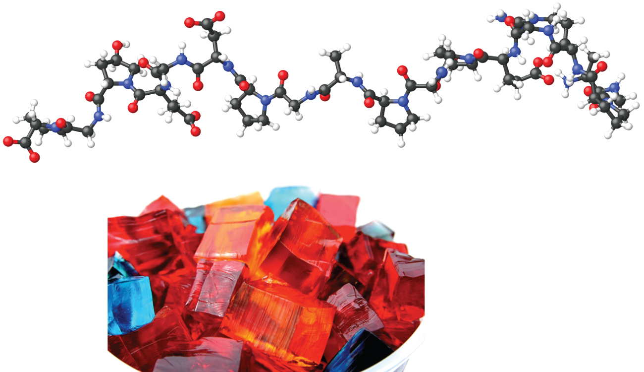 In this figure, a large molecular model of gelatin is shown with black carbon atoms, red oxygen atoms, white hydrogen atoms, and blue nitrogen atoms. A photo is shown of gelatin dessert cut into colorful rectangles.