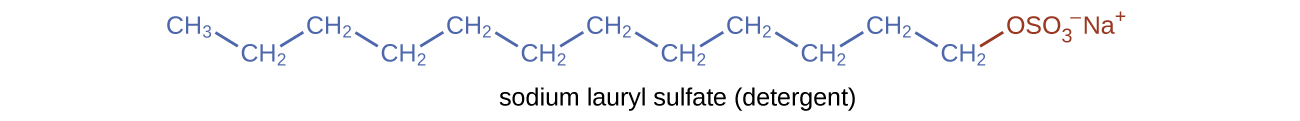 This figure shows a structural formula for a detergent known as sodium lauryl sulfate. A hydrocarbon chain composed of 12 carbon atoms and 25 hydrogen atoms is shown with an ionic end involving a negatively charged sulfur and four oxygen atoms at the ionic end of the chain. A positively charged N a superscript plus is also shown at the ionic end.