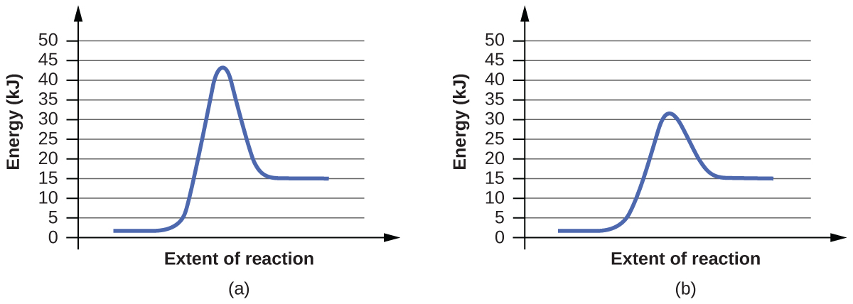 In this figure, two graphs are shown. The x-axes are labeled, “Extent of reaction,” and the y-axes are labeled, “Energy.” The y-axes are marked off from 0 to 50 in intervals of 5. In a, a blue curve is shown. It begins with a horizontal region at about 2. The curve then rises sharply near the middle to reach a maximum of about 43 and similarly falls to another horizontal segment at 15. In b, the curve begins and ends similarly, but the maximum reached near the center of the graph is only about 32.