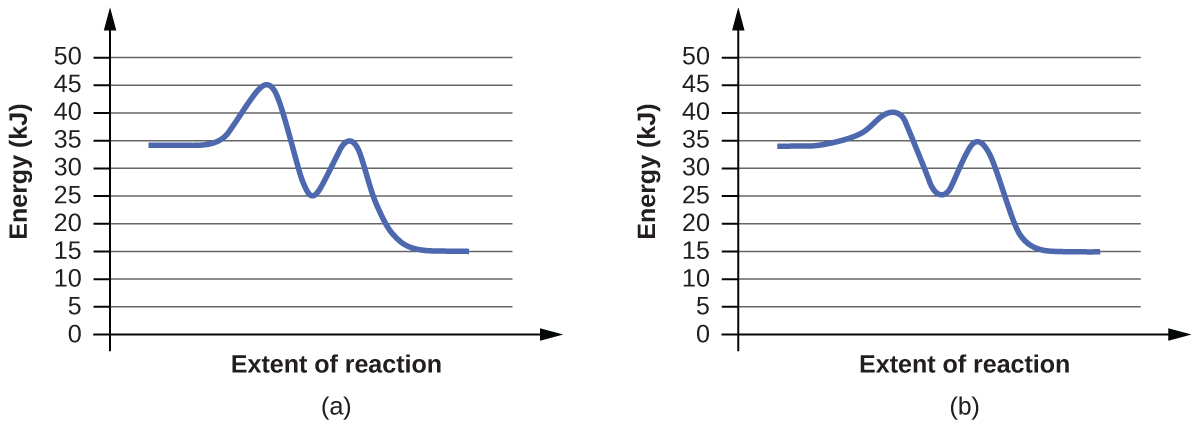 In this figure, two graphs are shown. The x-axes are labeled, “Extent of reaction,” and the y-axes are labeled, “Energy (k J).” The y-axes are marked off from 0 to 50 at intervals of 5. In a, a blue curve is shown. It begins with a horizontal segment at about 34. The curve then rises sharply near the middle to reach a maximum of about 45, then sharply falls to about 25, again rises sharply to about 35 and falls to another horizontal segment at about 15. In b, the curve begins and ends similarly, but the first peak reaches about 40, drops to 25, then rises to 35 before falling to the horizontal region at about 15.