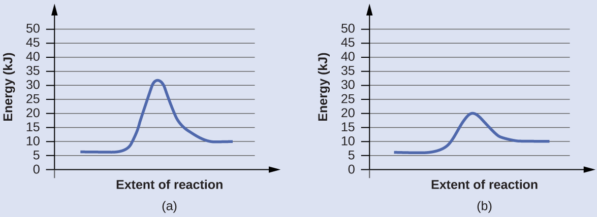 In this figure, two graphs are shown. The x-axes are labeled, “Extent of reaction,” and the y-axes are labeled, “Energy ( k J ).” The y-axes are marked off from 0 to 50 in intervals of five. In a, a blue curve is shown. It begins with a horizontal segment at about 6. The curve then rises sharply near the middle to reach a maximum of about 32 and similarly falls to another horizontal segment at about 10. In b, the curve begins and ends similarly, but the maximum reached near the center of the graph is only 20.