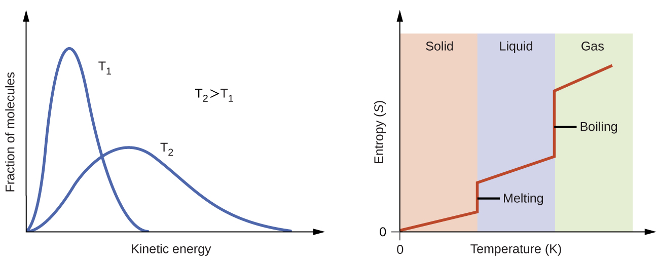 Two graphs are shown. The y-axis of the left graph is labeled, “Fraction of molecules,” while the x-axis is labeled, “Velocity, v ( m / s ),” and has values of 0 through 1,500 along the axis with increments of 500. Four lines are plotted on this graph. The first, labeled, “100 K,” peaks around 200 m / s while the second, labeled, “200 K,” peaks near 300 m / s and is slightly lower on the y-axis than the first. The third line, labeled, “500 K,” peaks around 550 m / s and is lower than the first two on the y-axis. The fourth line, labeled, “1000 K,” peaks around 750 m / s and is the lowest of the four on the y-axis. Each line get increasingly broad. The second graph has a y-axis labeled, “Entropy, S,” with an upward-facing arrow and an x-axis labeled, “Temperature ( K ),” and a right-facing arrow. The graph has three equally spaced columns in the background, labeled, “Solid,” “Liquid,” and, “Gas,” from left to right. A line extends slightly upward through the first column in a slight upward direction, then goes straight up in the transition between the first two columns. In then progresses in a slight upward direction through the second column, then goes up dramatically between the second and third columns, then continues in a slight upward direction once more. The first vertical region of this line is labeled, “Melting,” and the second is labeled, “Boiling.”